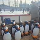 도솔광장 야외공연장 | 천안 가볼 만한 곳 도솔광장 무료 야외스케이트장 2회차 이용 후기