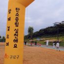 2024년 구로 탄소제로 걷기대회 :: 출발 장소, 코스, 안양천 장미길 후기