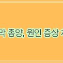 꼼꼼 이미지