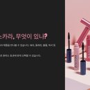 💄 다이소 마스카라, 진짜 괜찮을까? 솔직 후기 모음
