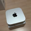 [솔직후기] Apple 맥미니 M4 칩 기본형 vs 조립형 윈도우 PC, 영상 편집용으로 한 달간 끝까지 고민...
