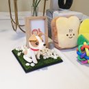 기억할개 이미지