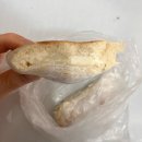 청담빌딩 | [베이커리] 군산 딸기케이크 맛집 ‘느림보제빵소’ 빵 종류 가격 정보 포함