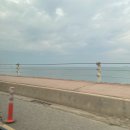 크로바 | 🌴대부도 크로바 펜션 워크숍 후기 | 비 오는 날, 제대로 힐링하고 왔어요!🌧️
