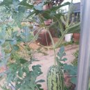 옹기문화의 집 이미지