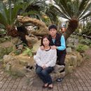 자연예술랜드 이미지