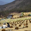 부산추모공원 이미지