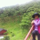 가조고견사 이미지