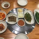 초원흑염소 이미지