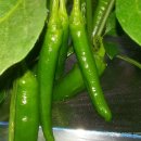 바산농장 이미지