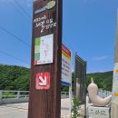 고와1교 이미지