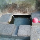 버드실샘 이미지