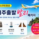 발리 Daum카페