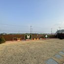 용이랑 백호랑 이미지