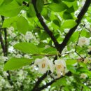 청파농장 이미지