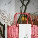 벤자민&데이지 이미지