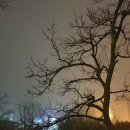 인성여성의원 이미지