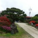 삼화관광농원 이미지