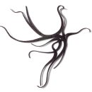 이진로 | [공지] 어쩌다, 에코페미니즘 미술 展