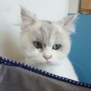 (주)셔리 이미지