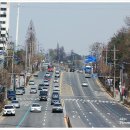 (주)제월당 네이버블로그