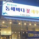 동해바다꽃새우 이미지
