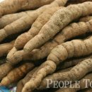 이연옥농장 이미지