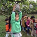 덕계선교어린이집 이미지