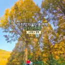 온빛매점 | 논산 온빛자연휴양림 드라마 촬영지 단풍 실시간