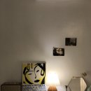 누코지스테이 이미지