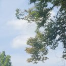곽동연 실물영접 2트 : 예스24스테이지 고도를 기다리며를 기다리며
