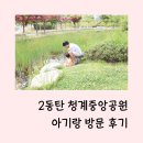 청계 청계중앙공원 매장문화재 유적 | 2동탄 청계중앙공원 아기랑 함께한 산책길(주차, 서녘마당, 문화재마당, 유아 놀이터, 전통문화마당...