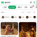 원시이로리