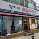 강남애니동물병원 이미지