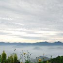 자연닮은 치유농장 이미지