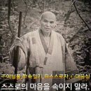 중년의 가슴에 10월이 오면 이미지