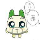 클로버상조 | 일요일에 동대문 동묘 창신동 완구거리 다녀온 후기 (말랑이/왁뿌볼/퍼티/클릭커/산리오 등 가격정보...