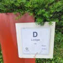 리버힐모텔 | 내돈내산 별보기 좋은 강원도 평창숙소 평창펜션 추천 리버힐펜션에서 고양이들과 힐링하기
