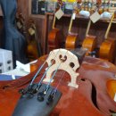 동두천여자중학교 이미지