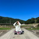 UR(상주시)-[경상대로]-하-4 | 합천 농활 후기글 적었어요 최종