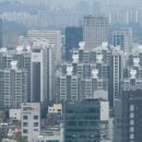 다온부동산중개사무소 이미지