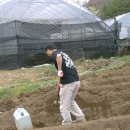 두메산골 농장 이미지