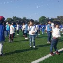 서귀포초등학교 병설유치원 이미지