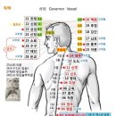14경맥(12경맥 + 독맥,임맥) 경혈도(경혈도, 경맥별 혈자리명, 취혈방법 이미지