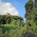 김재활의학과의원 이미지