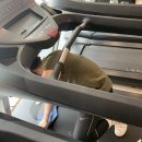 브레인짐 이미지