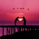 떠오르는태양 이미지