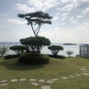 아라가온 | 충남 태안 안면도 &#39;아라가온 펜션&#39; 한적한 곳