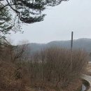 안성시 죽산면 계획관리 임야3660평 매가1억8천 이미지