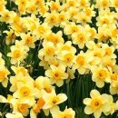 해솔에너지 이미지